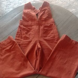 BDG Urban Outfitters Eleanor Plunge Overalls- Terracotta Color